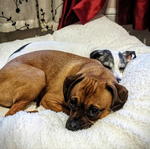 Meet your Posher, Elise - Picture 10 of 12